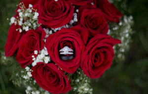 White gold and diamond Kirk Kara engagement and wedding rings in a bouquet of red roses